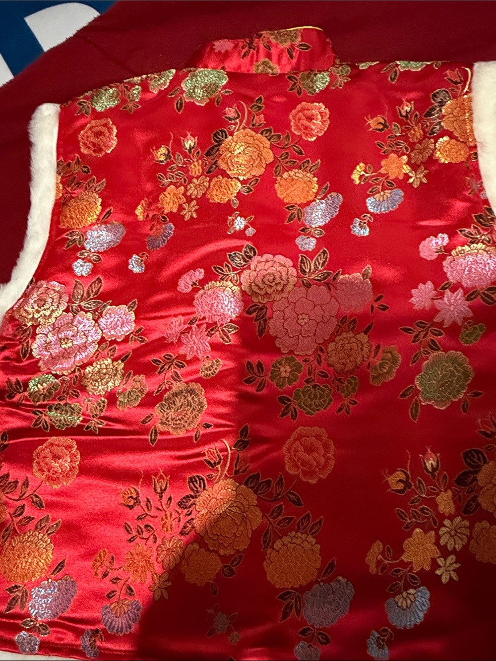 vest - Picture 3 of 3